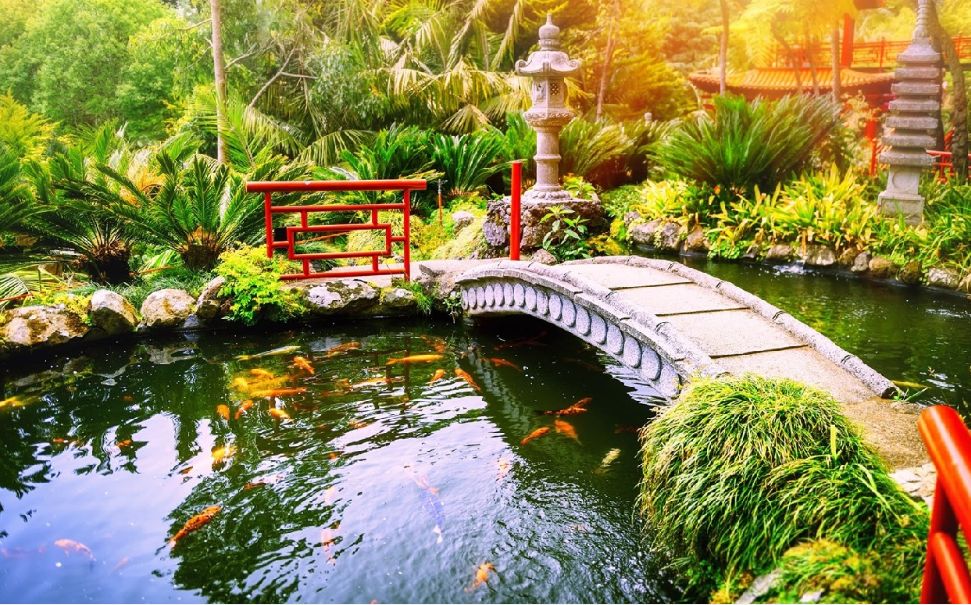 Thiết Kế  Và Thi Công Cảnh Quan