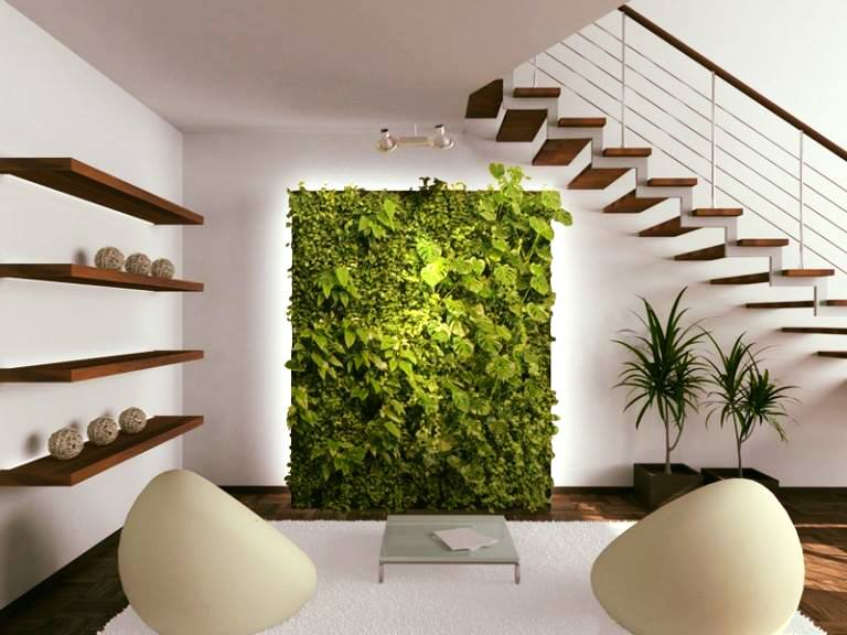 Thiết kế tiểu cảnh