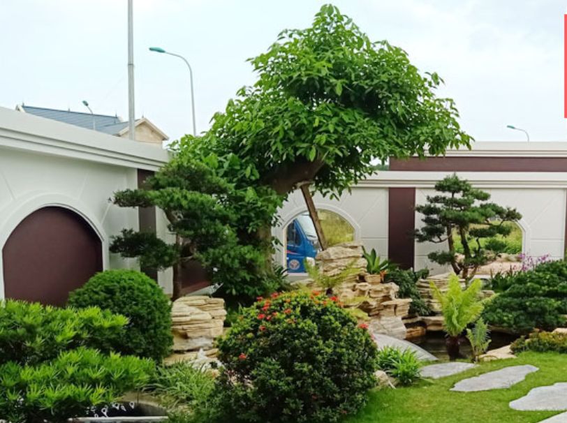 Thiết kế thi công cảnh quan sân vườn