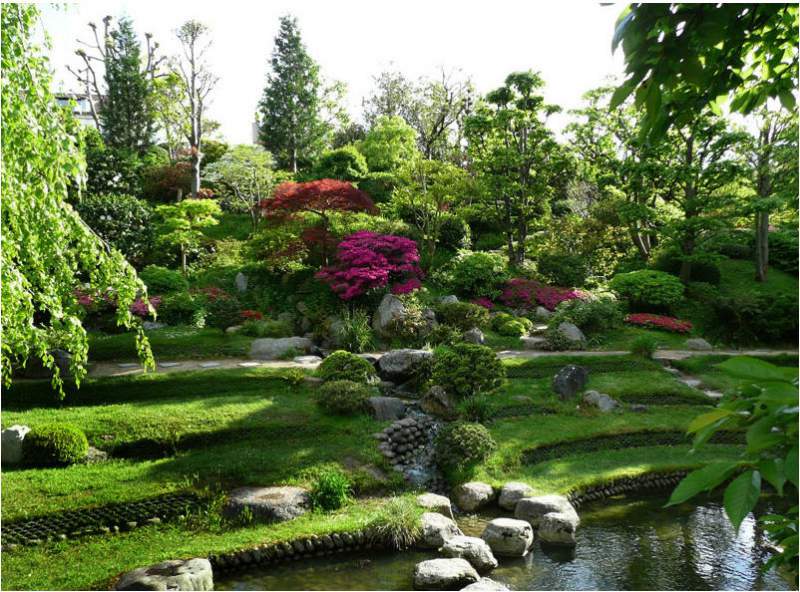 Thiết kế thi công cảnh quan sân vườn