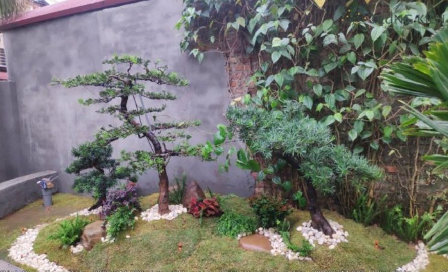 Thi công cảnh quan sân vườn