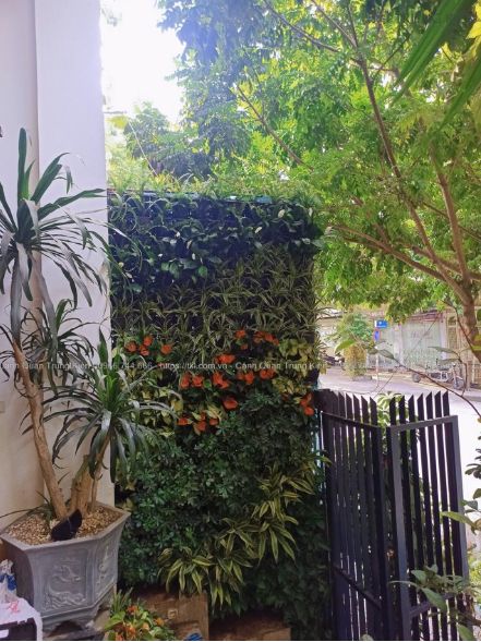 Thiết kế thi công vườn đứng
