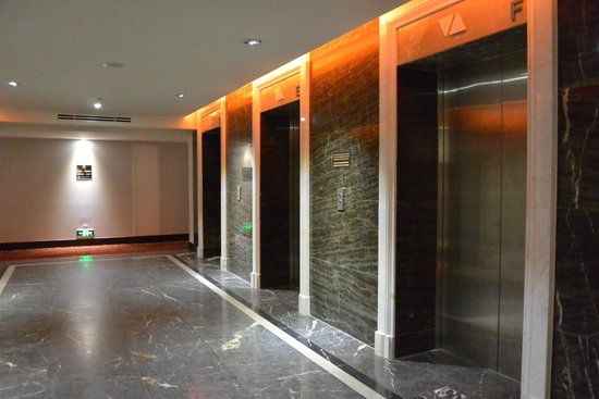 Thang máy khách sạn 