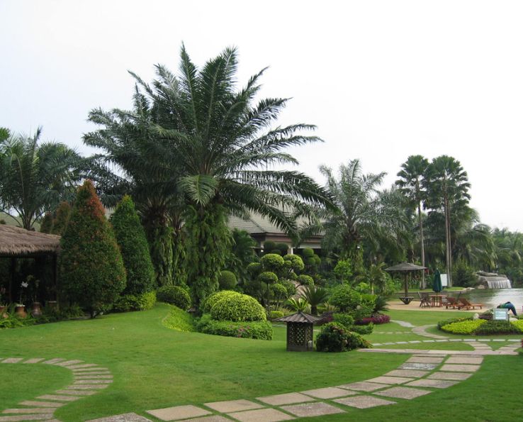 Thiết kế cảnh quan công ty