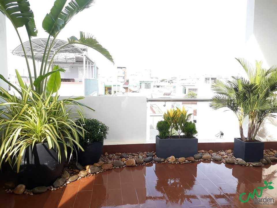 Thi công tiểu cảnh ban công