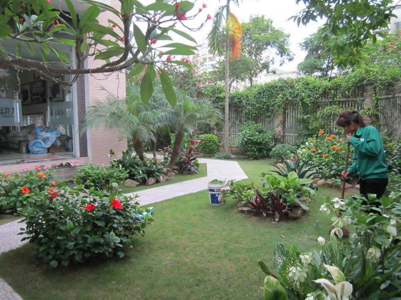 Thiết kế cảng quan sân vườn
