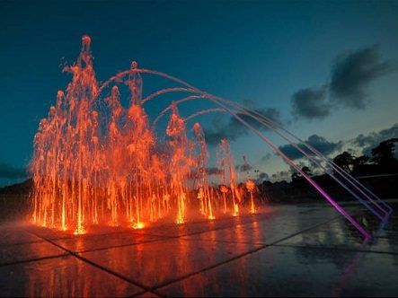 Vòi nước tự động
