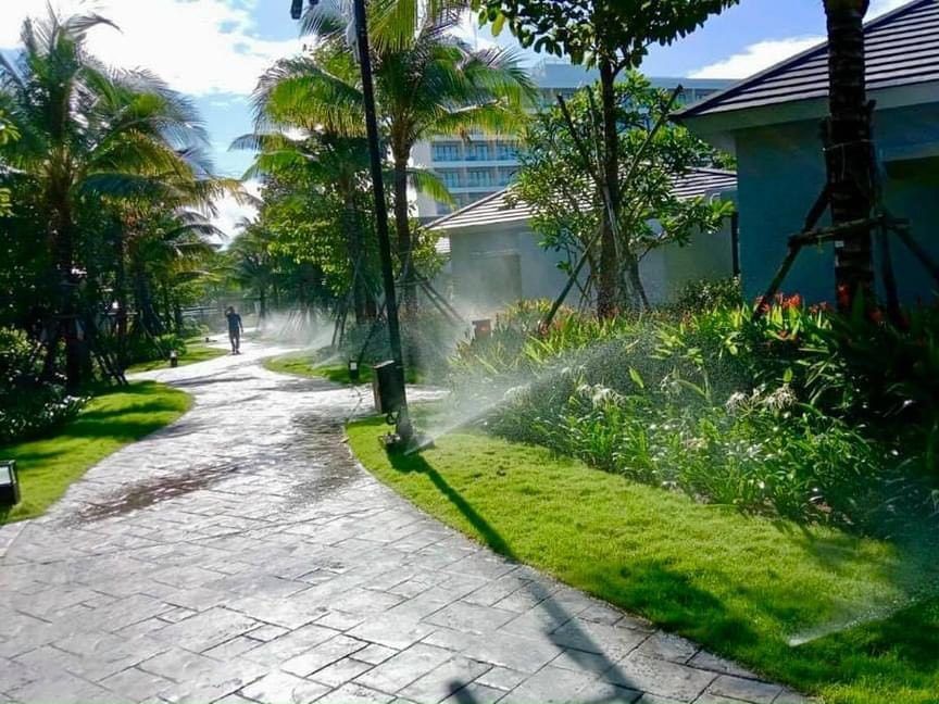 Vòi phun tự động cây xanh