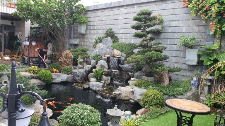 Thiết kế hồ cá koi
