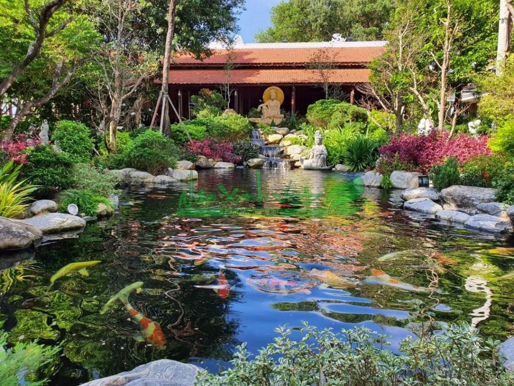 Thiết kế hồ cá koi biệt thự 