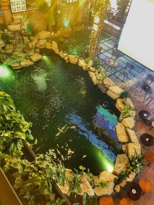 Thiết kế hồ cá koi