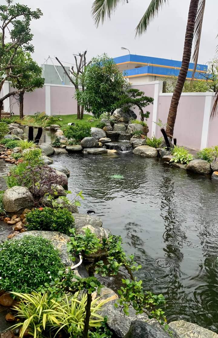 Thiết kế hồ cá koi