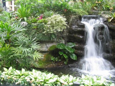 Thiết kế cảnh quan sân vườn