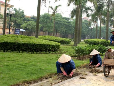 Chăm sóc cảnh quan