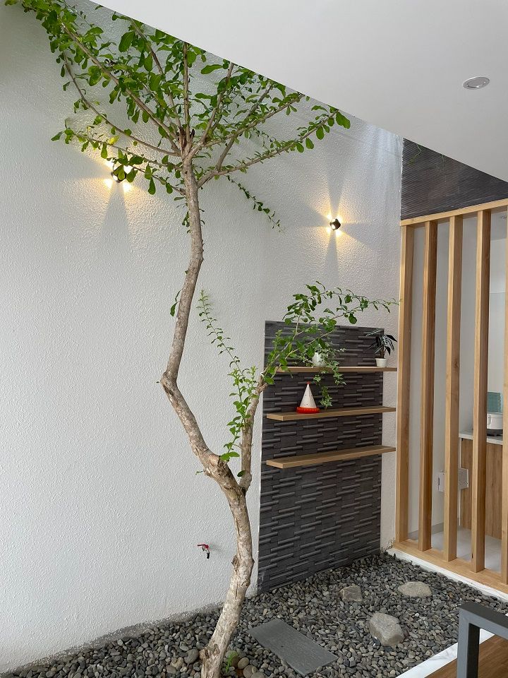 Thiết kế cảnh quan