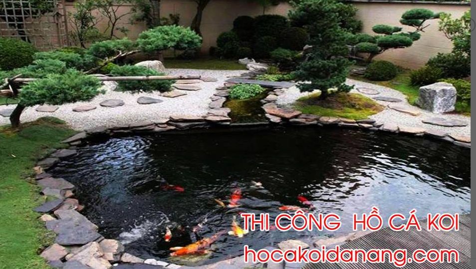 Thiết kế thi công hồ cá koi
