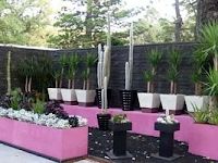 Thiết kế cảnh quan