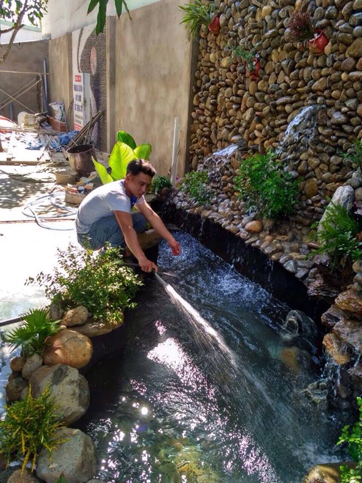 Thiết kế hồ cá koi