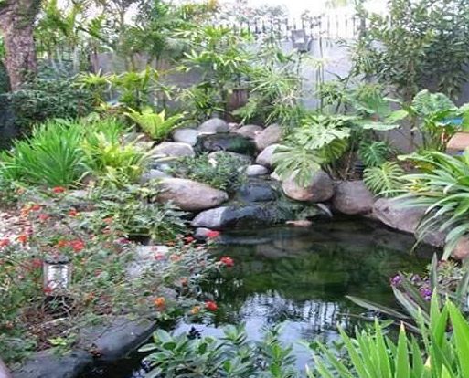 Thiết kế cảnh quan hồ cá 