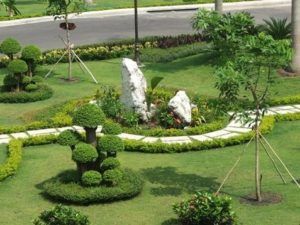Thiết kế cảnh quan trụ sở 