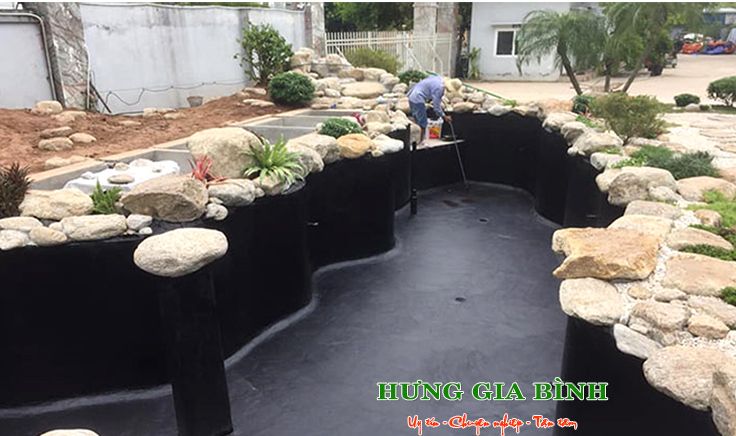 Thiết kế hồ cá koi