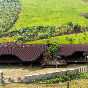 BÓ MON PRESCHOOL
