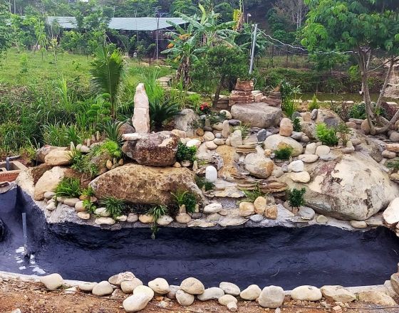 Sơn chống thấm hồ cá 