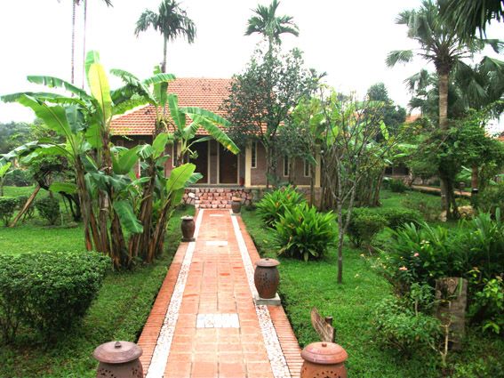 Dịch vụ cây cảnh