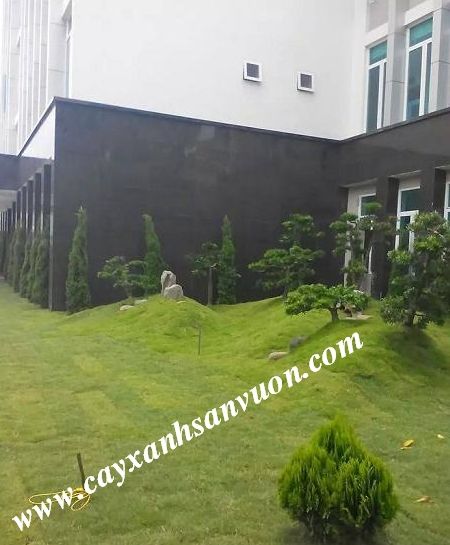 Thiết kế thi công cảnh quan sân vườn