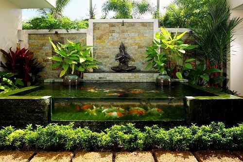 Thì công hồ cá Koi