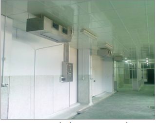 Nhà máy chế biến thủy sản Hàn Quốc