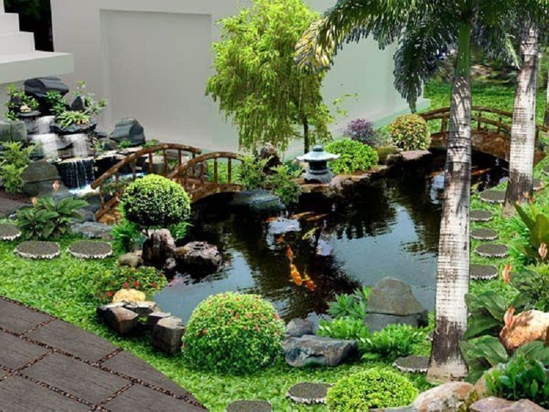 Thiết kế hồ cá koi
