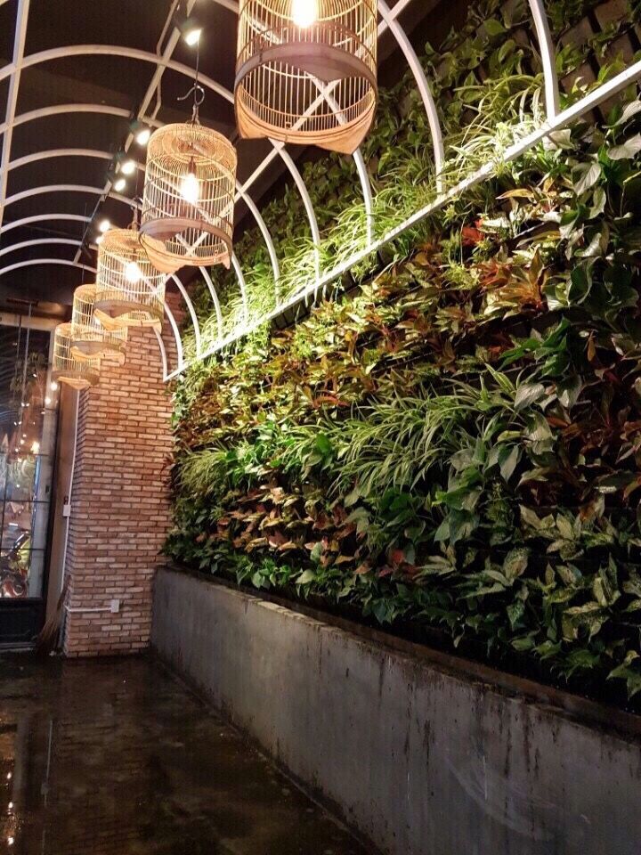 Thiết kế vườn đứng