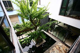 Thiết kế tiểu cảnh trong nhà