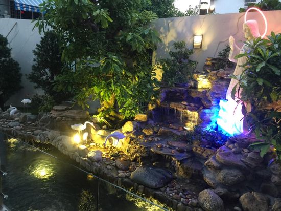 Thiết kế hồ các koi