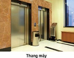Đá ốp thang máy