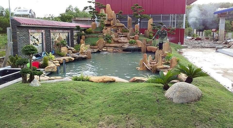 Thi công thiết kế hồ cá