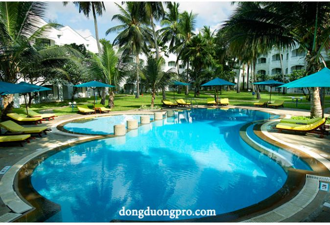 Thiết kế hồ bơi khu nghỉ dưỡng
