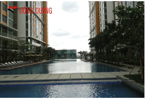 Thiết kế hồ bơi chung cư