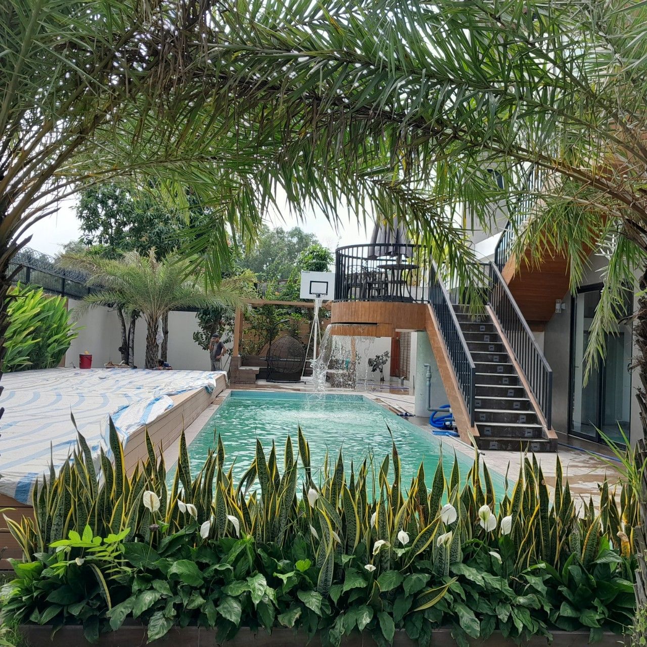 Hồ bơi 