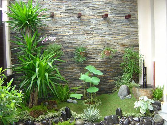 Thi công tiểu cảnh
