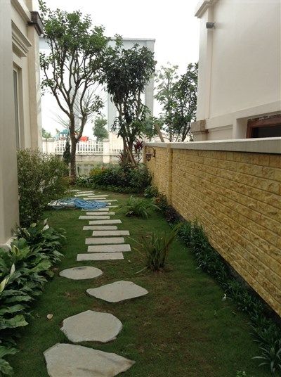 Thiết kế sân vườn