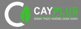 CÔNG TY TNHH XÂY DỰNG VÀ THƯƠNG MẠI DỊCH VỤ CAYPLUS