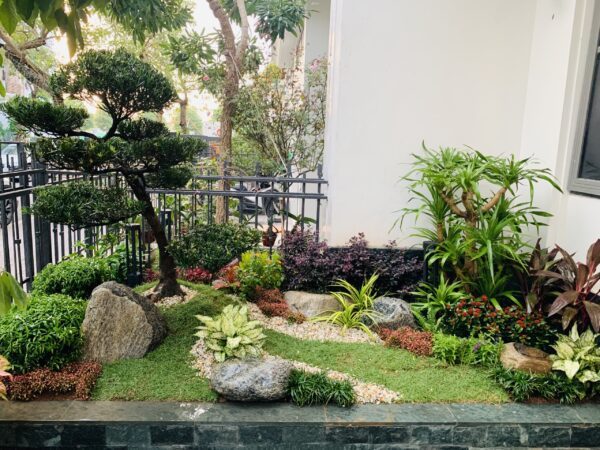 Thiết kế thi công tiểu cảnh