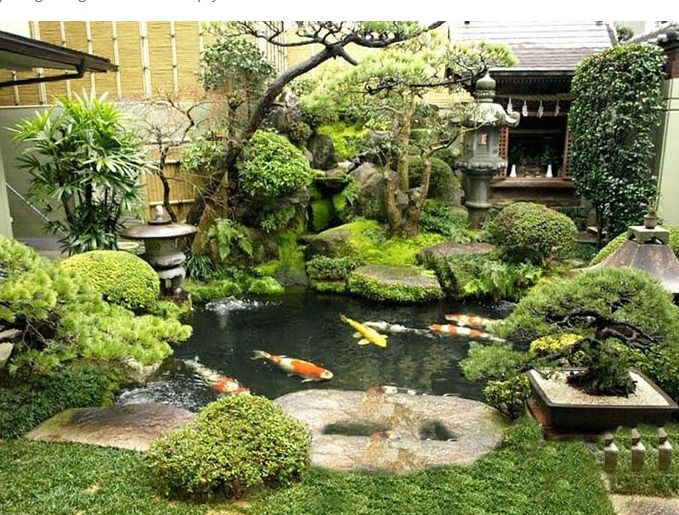 Thiết kế tiểu cảnh