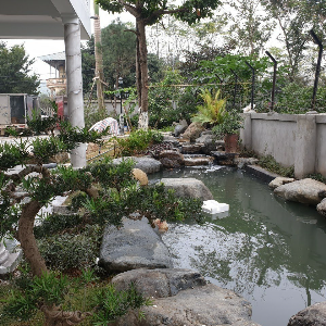Cong Trinh Biet Thu Ciputra 2
