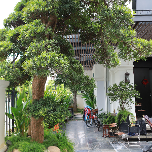 Cong Trinh Biet Thu Vinhomes ocean park