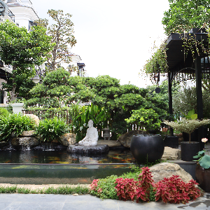 Cong Trinh Biet Thu Vinhomes ocean park