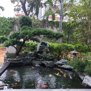 Cong Trinh Biet Thu Hàng Hoa Tham