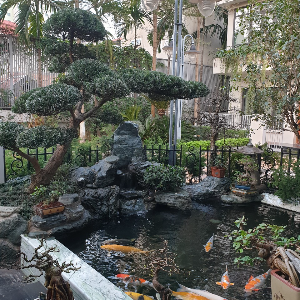 Cong Trinh Biet Thu Hàng Hoa Tham